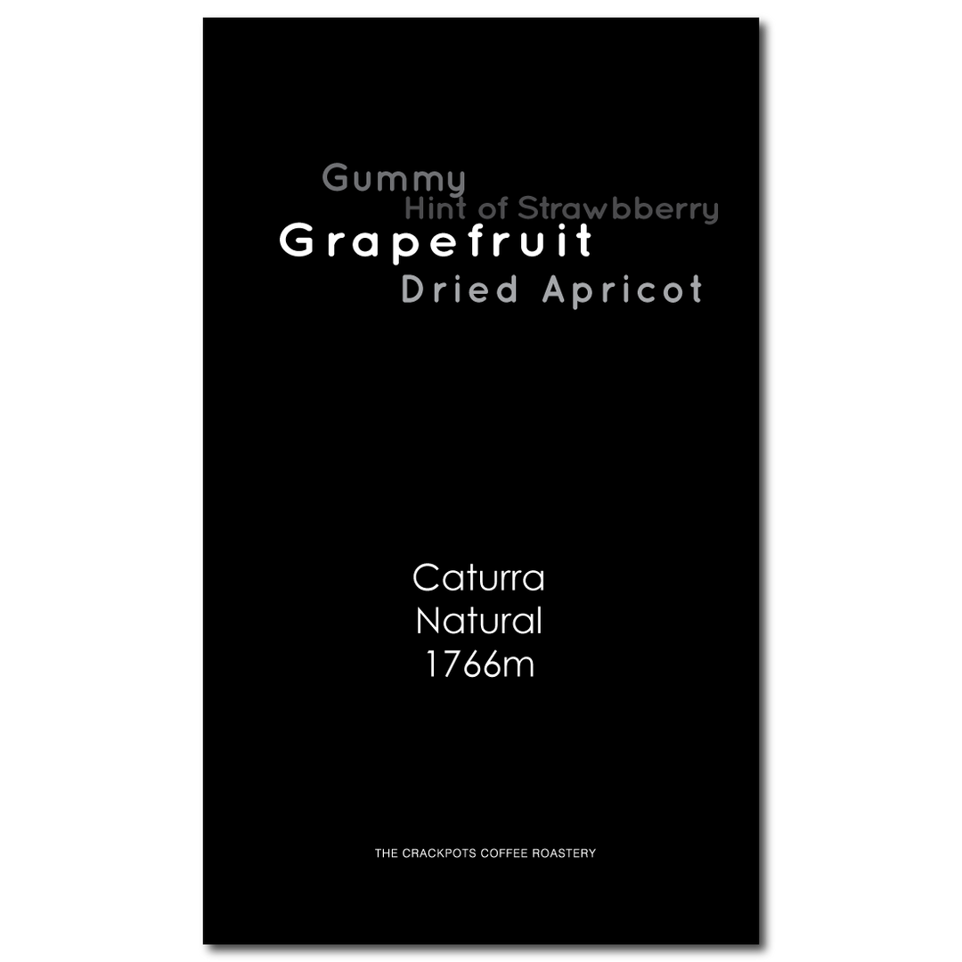 Bolivia Samaipata Los Rodriguez