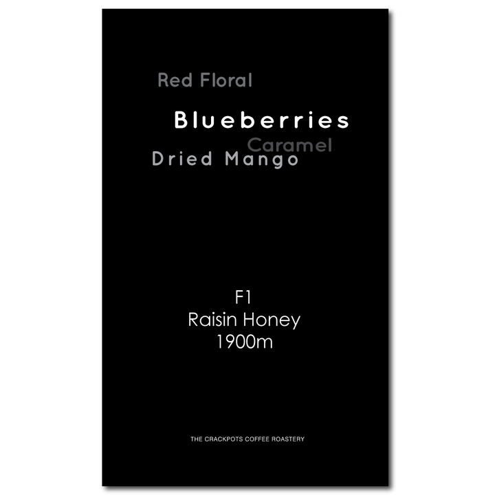 Costa Rica Canet Chopin F1