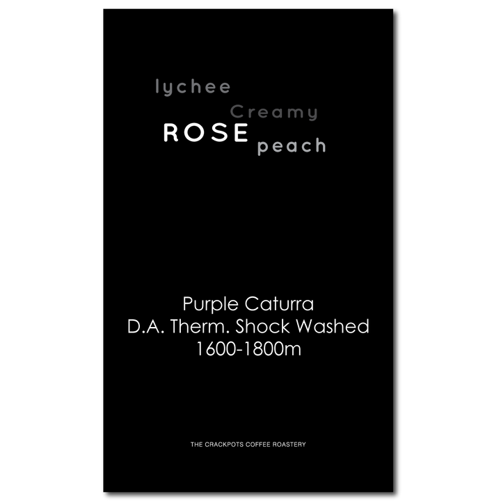 Costa Rica Tarrazu Blossom