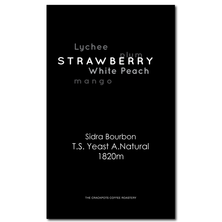 Colombia Huila El Diviso Sidra Bourbon T.S. Yeast Natural