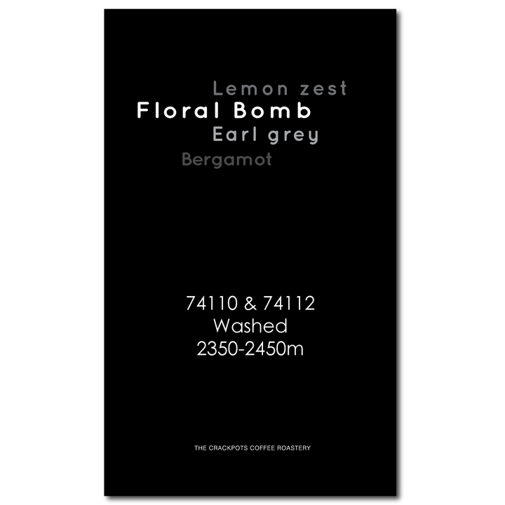 Colombia Huila Gesha Espiritu Blanc