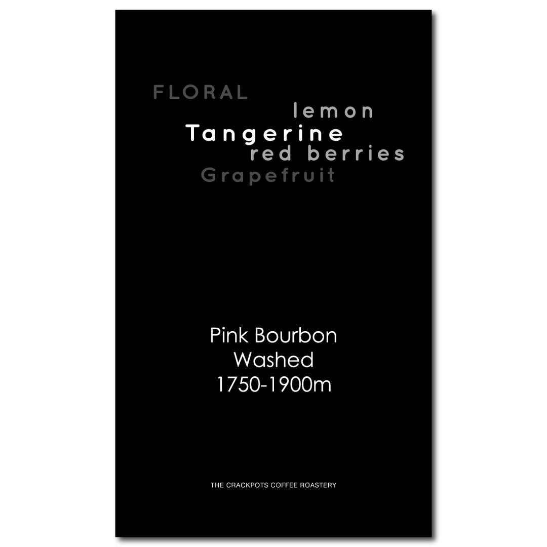 Colombia Huila La Piragua Alexander Vargas Washed Pink Bourbon #00191