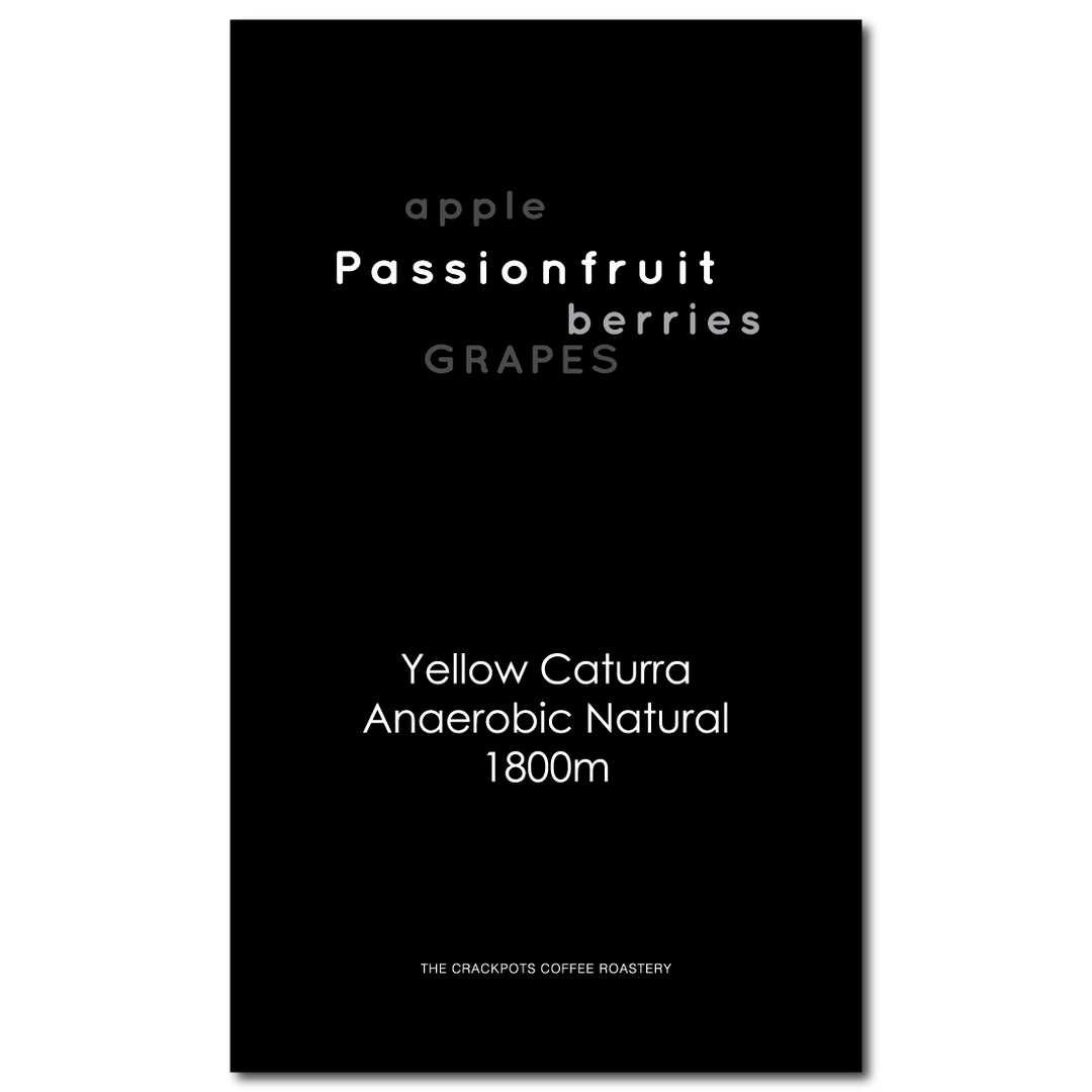 Colombia Tolima El Jardin Caturra Anaerobic Natural