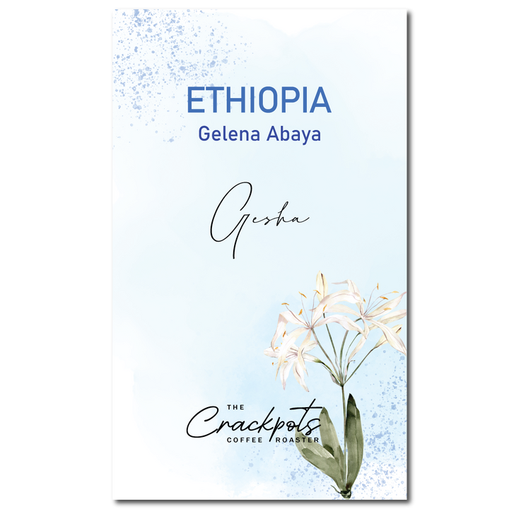 Ethiopia Gelena Abaya Gori Geisha Natural