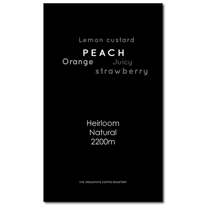 Ethiopia Guji Hambela Wamena Tirtira Goyo Natural