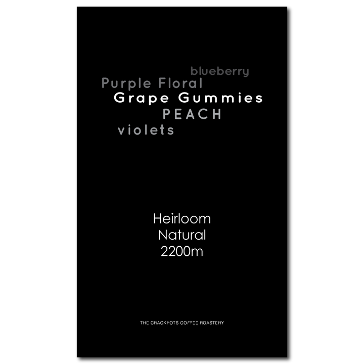 Ethiopia Guji Dasaya Natural G1 Lot 23/02