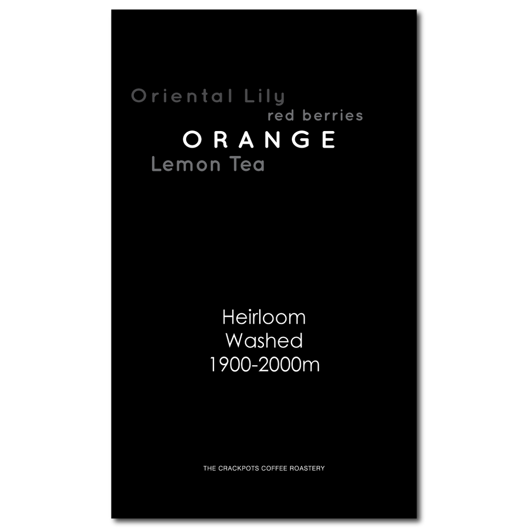 Ethiopia Kochere Biloya Deboya Washed