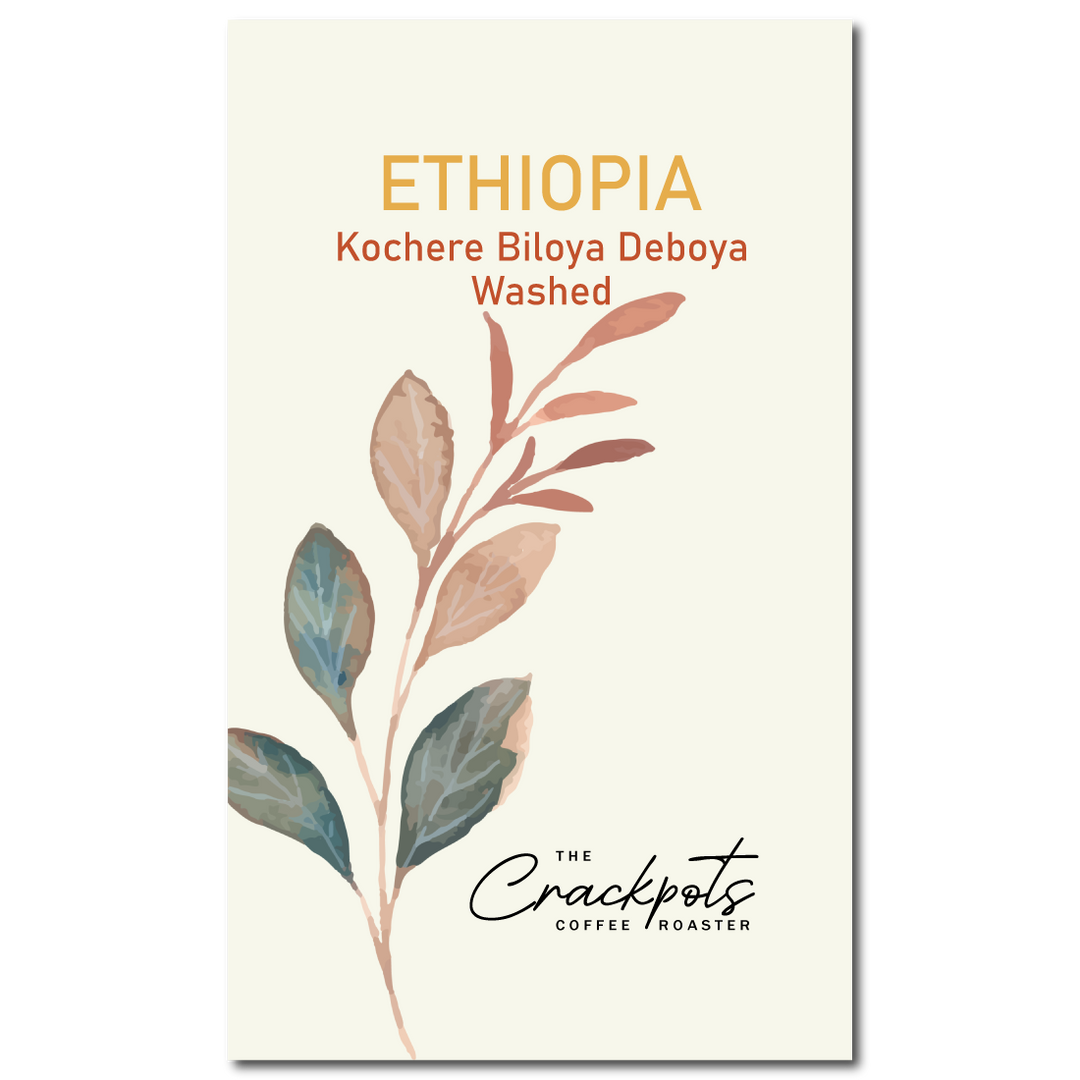 Ethiopia Kochere Biloya Deboya Washed