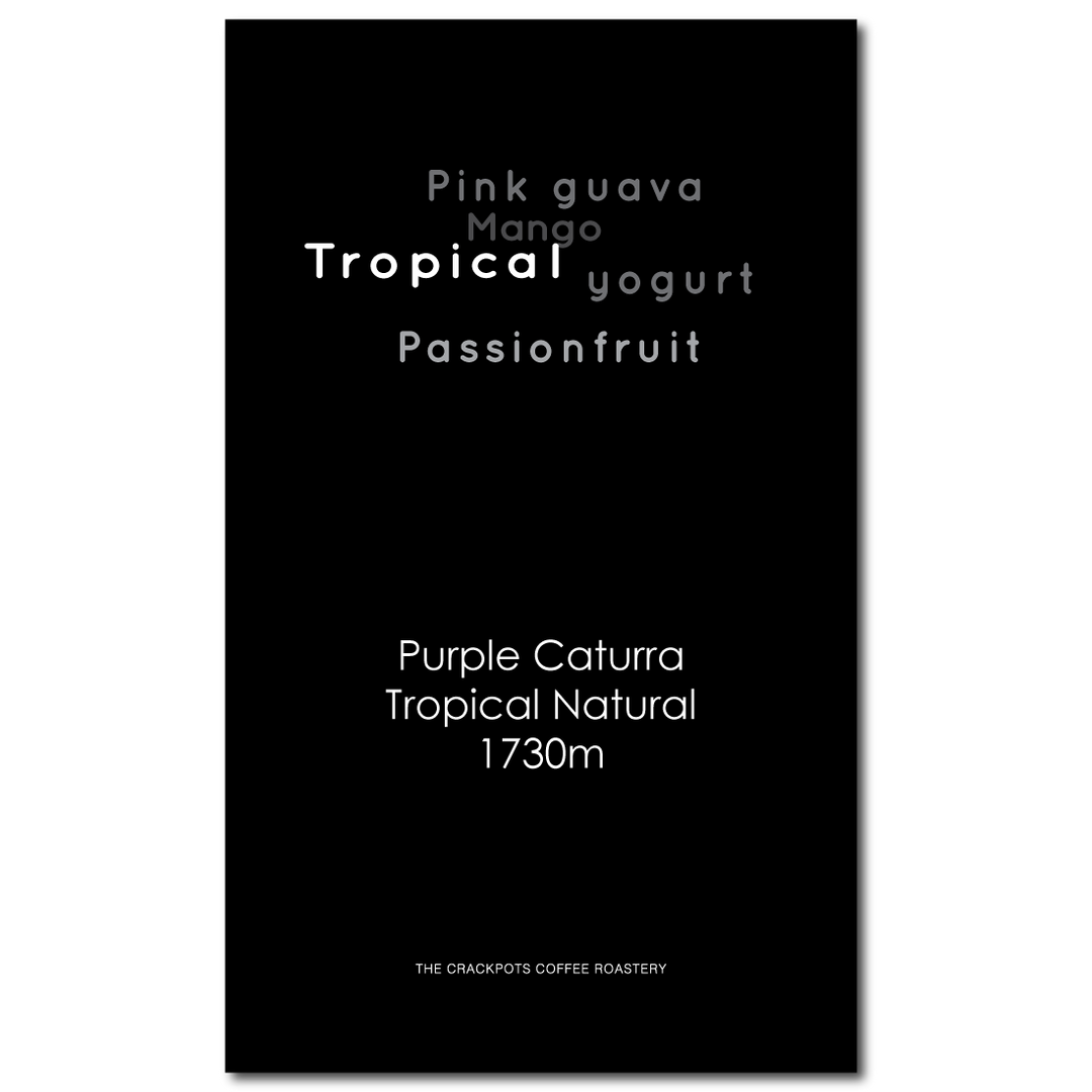Colombia Finca Monteblanco Rodrigo Sanchez Tropical Natural