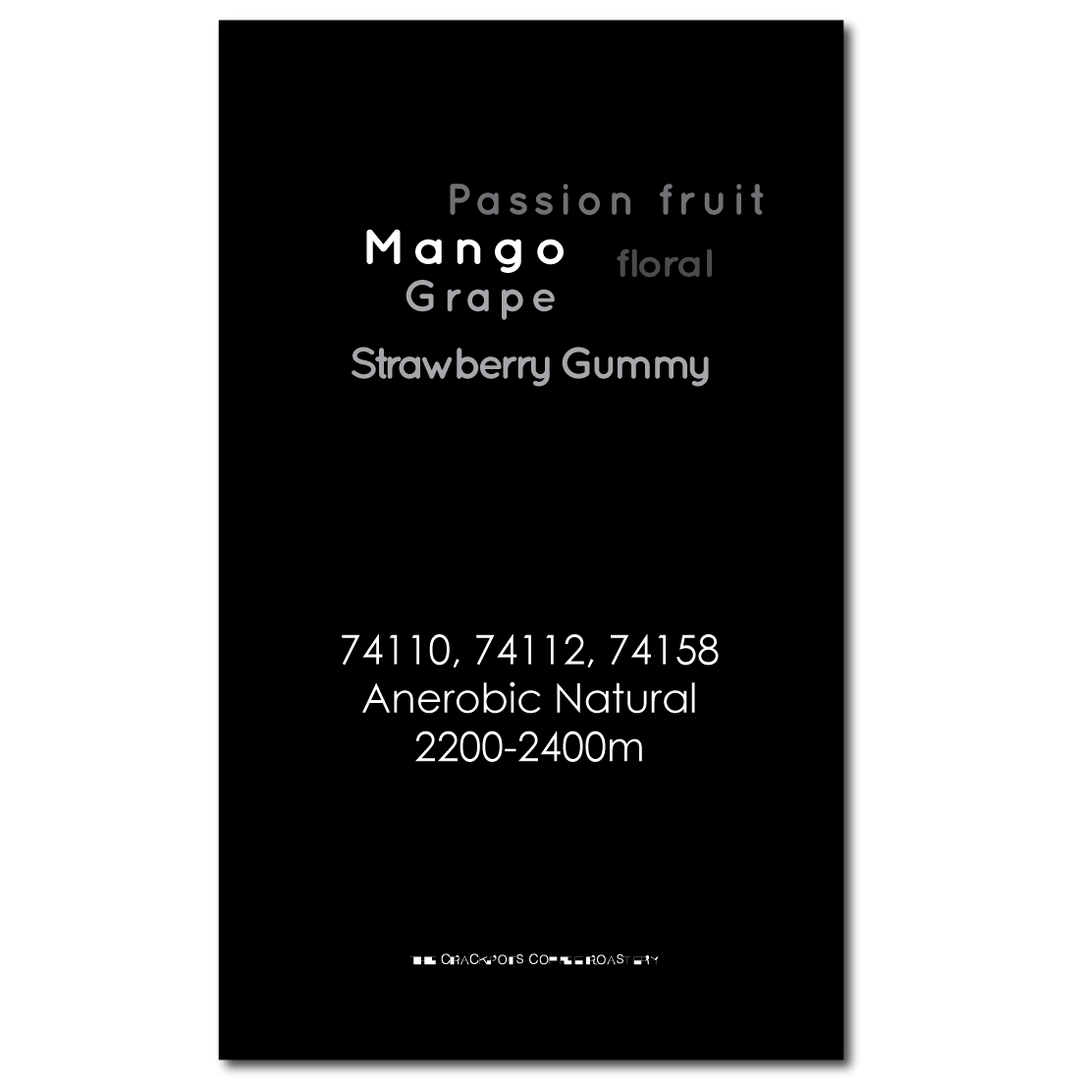 Ethiopia Sidama Arbegona Duwancho Anaerobic Natural