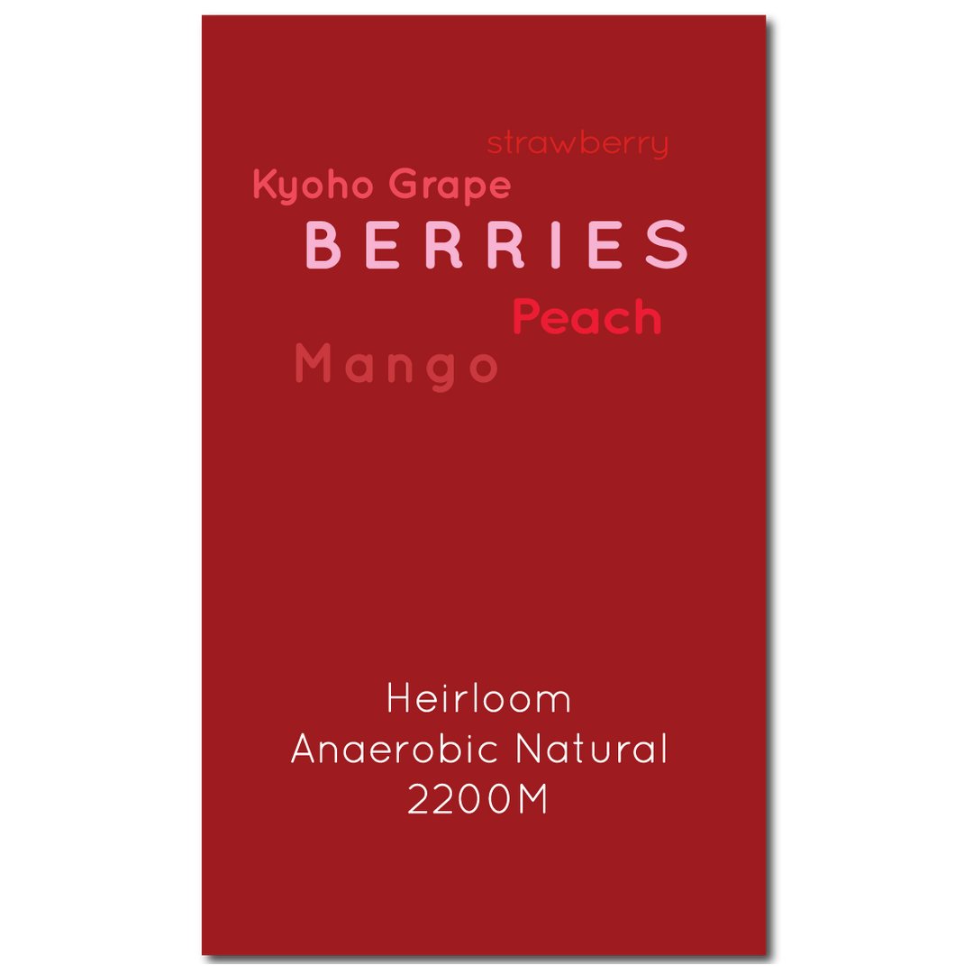 Ethiopia Guji Anasora Anaerobic Natural