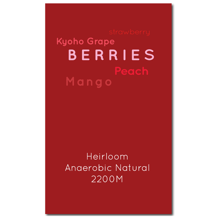 Ethiopia Guji Anasora Anaerobic Natural