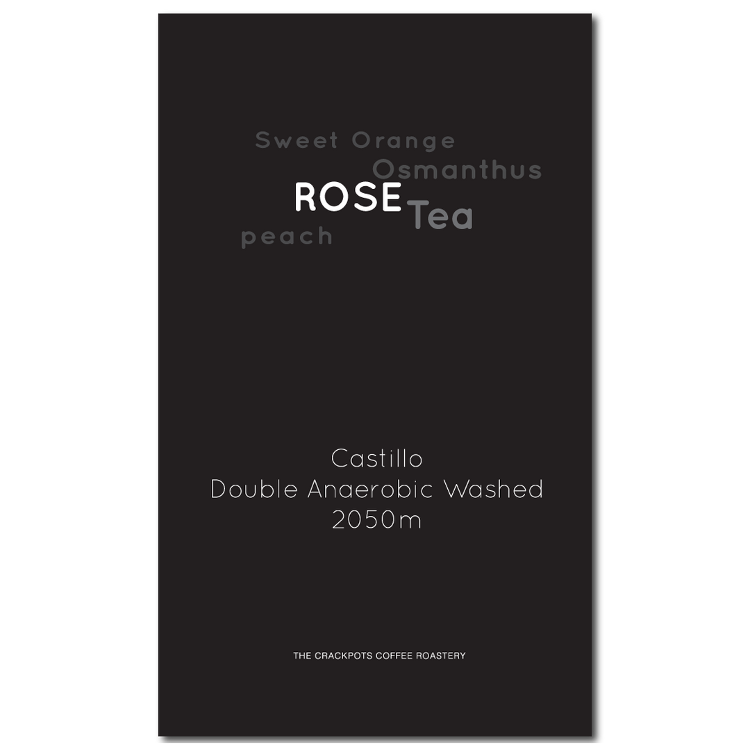 Colombia Cauca El Paraiso Rosa Té