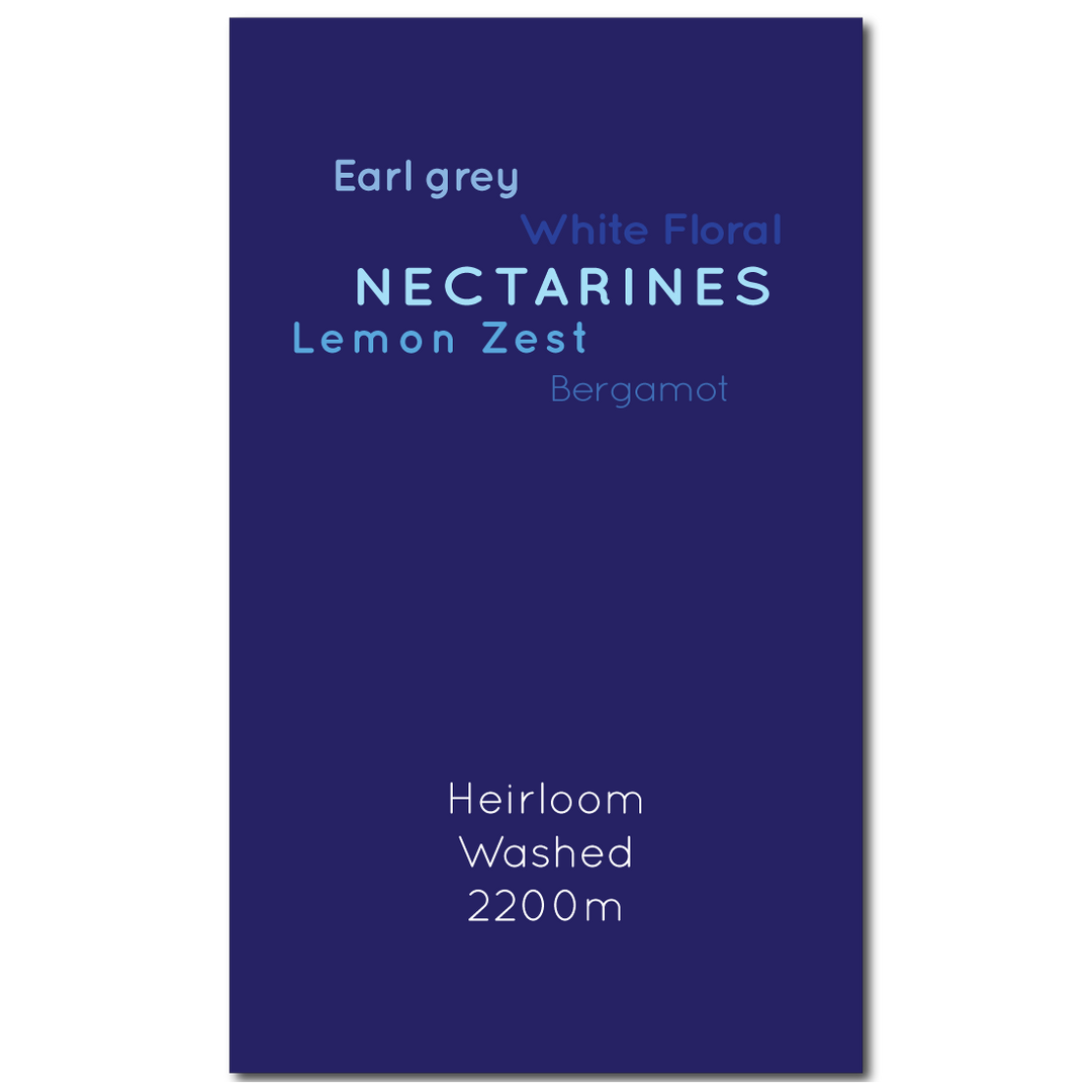 Ethiopia Guji Anasora Washed