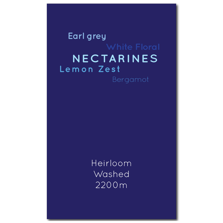 Ethiopia Guji Anasora Washed