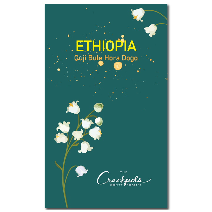 Ethiopia Guji Bule Hora Dogo Natural G1