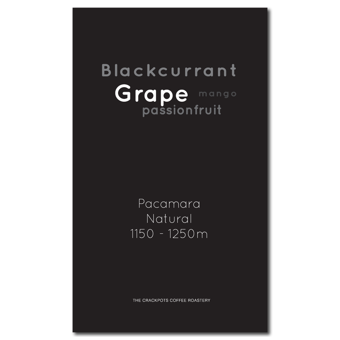 El Salvador Santa Ana Finca Lorena Pacamara