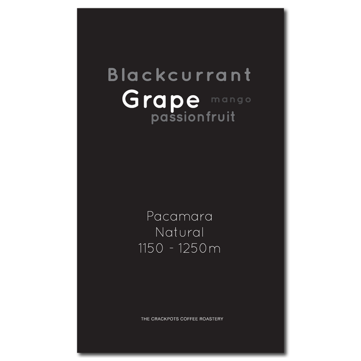 El Salvador Santa Ana Finca Lorena Pacamara