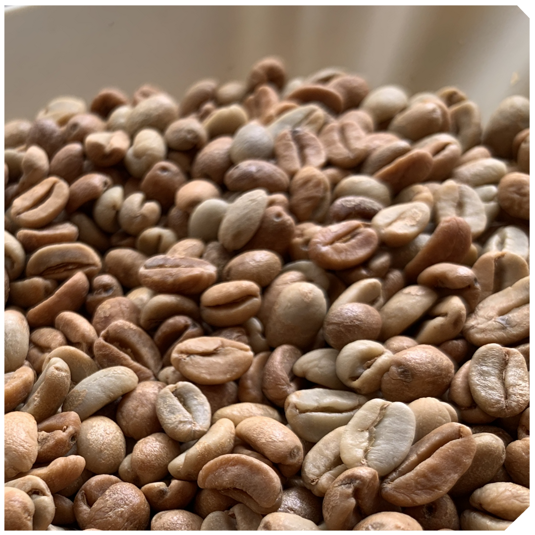 Nicaragua Finca Los Placeres Funky Natural