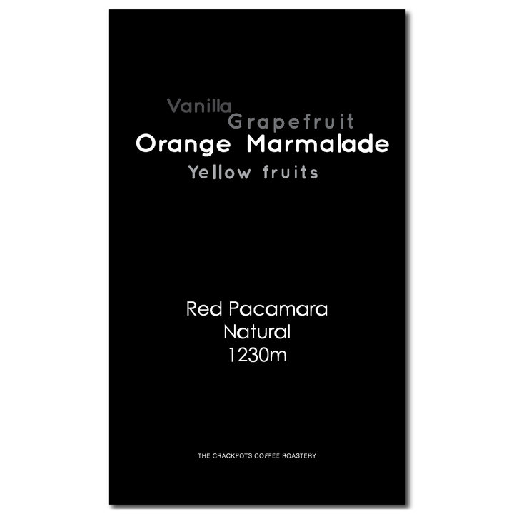 Nicaragua Jinotega Finca La Escondida Natural Red Pacamara