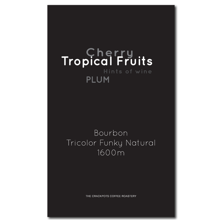 Nicaragua Finca Los Placeres Funky Natural