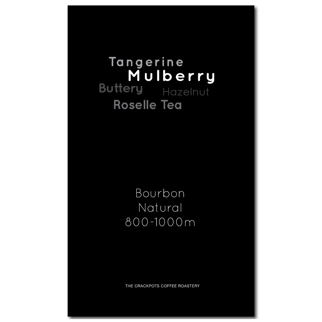 Nicaragua Finca Los Placeres by The Mierisch Family