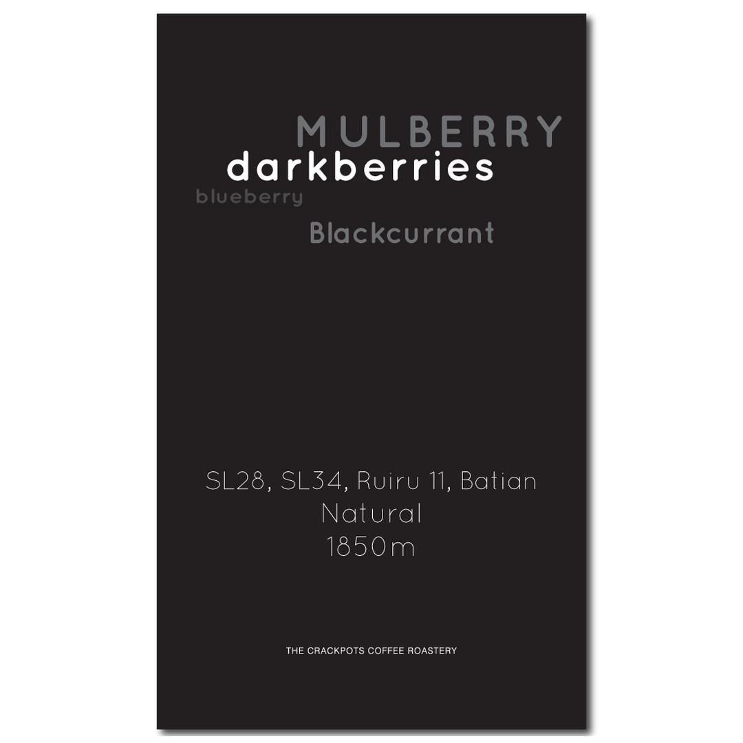 Kenya Nyeri Othaya Kiaguthu AA Natural