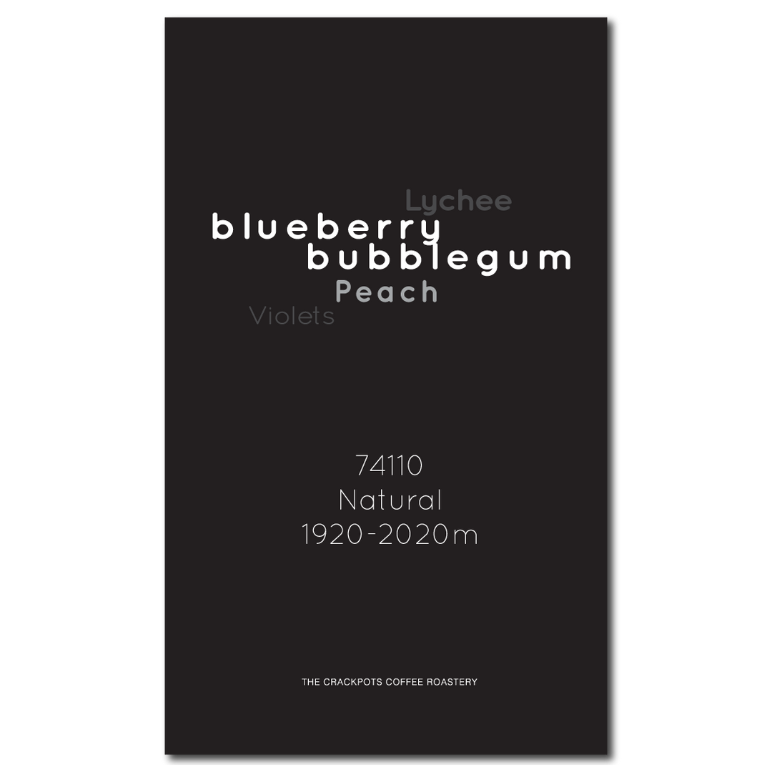 Ethiopia Guji Shakiso Single Varietal 74110