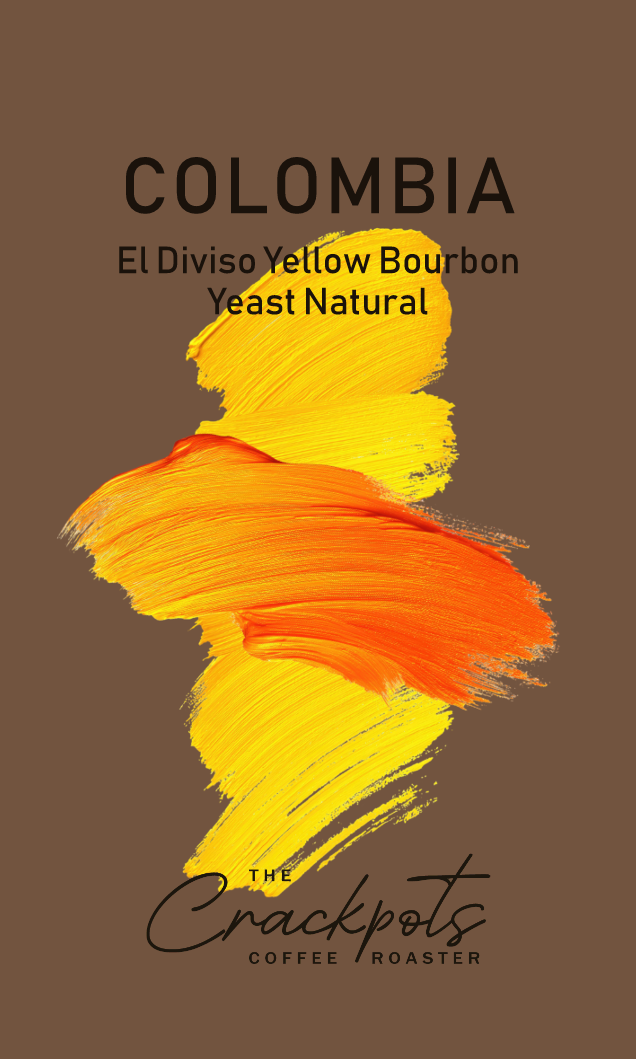 Colombia El Diviso Yellow Bourbon Yeast Natural