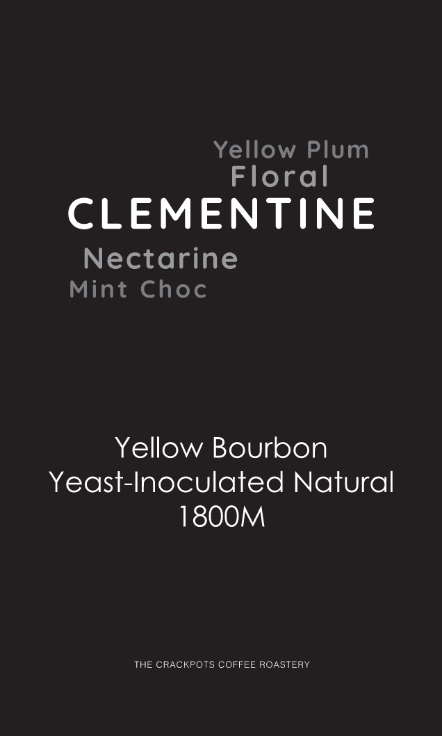 Colombia El Diviso Yellow Bourbon Yeast Natural