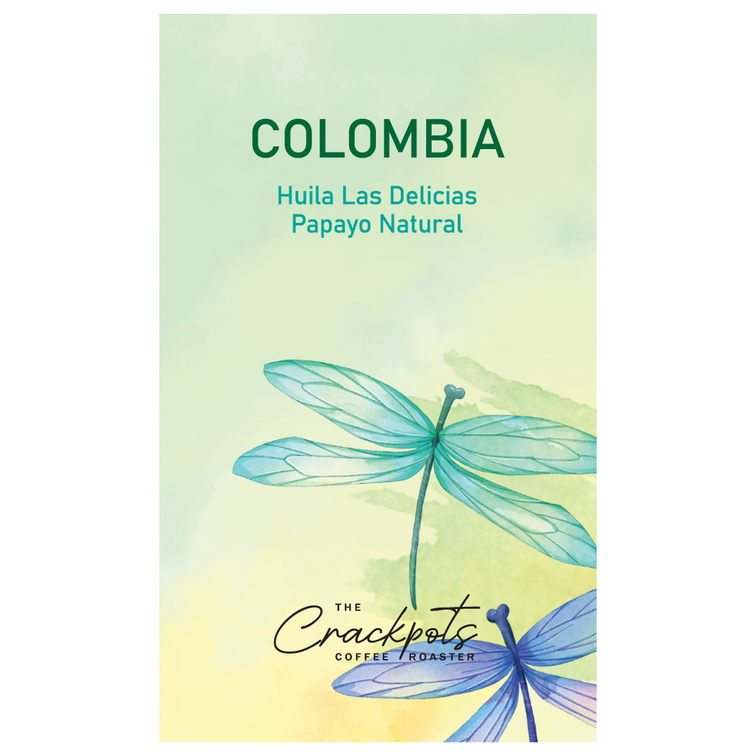 CHLDPN-26-01_cover