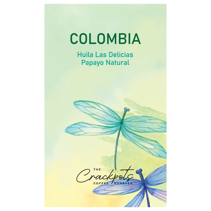CHLDPN-26-01_cover