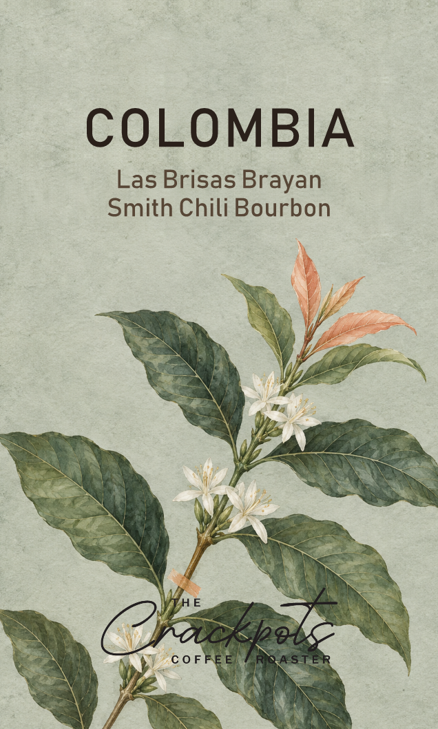 Colombia Las Brisas Brayan Smith Chili Bourbon Washed