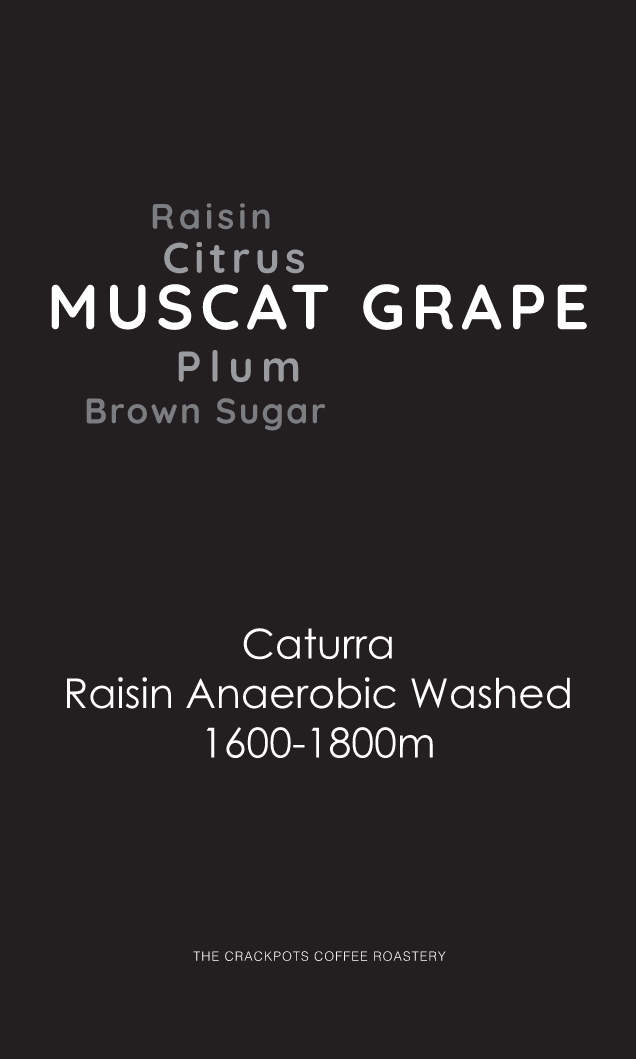 Colombia Quindio La Margarita "Muscat Grape" Raisin Anaerobic Washed