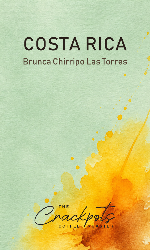 Costa Rica Brunca Chirripo Las Torres Honey