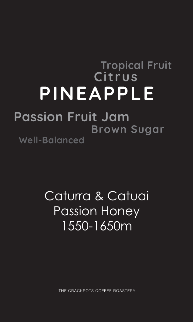 Costa Rica Brunca Chirripo Las Torres Honey