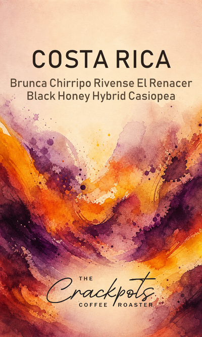 Costa Rica Brunca Chirripo Rivense El Renacer Black Honey Hybrid Casiopea