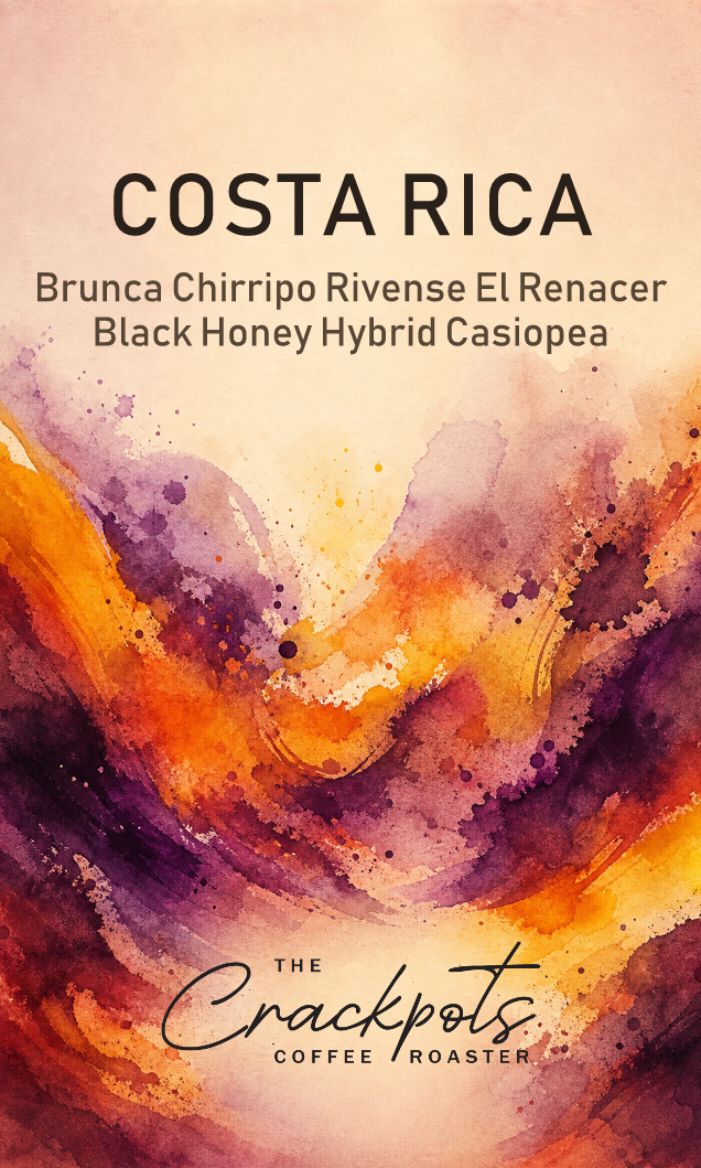 Costa Rica Brunca Chirripo Rivense El Renacer Black Honey Hybrid Casiopea