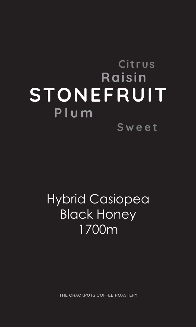 Costa Rica Brunca Chirripo Rivense El Renacer Black Honey Hybrid Casiopea