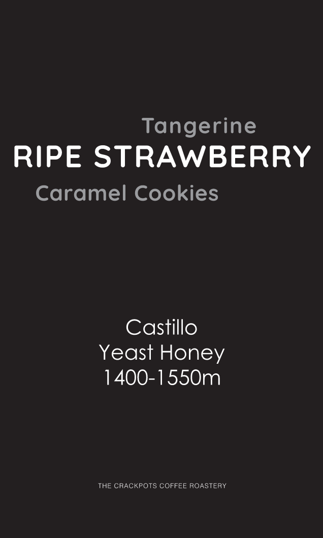 Colombia Santa Monica "Strawberry Parfait" Yeast Honey