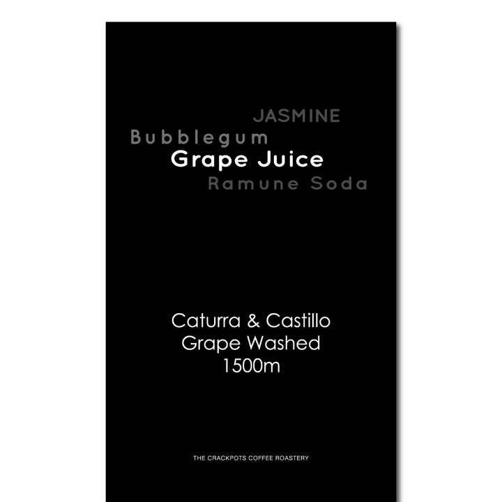 Colombia Villa Clara Lush Crush Grape Washed