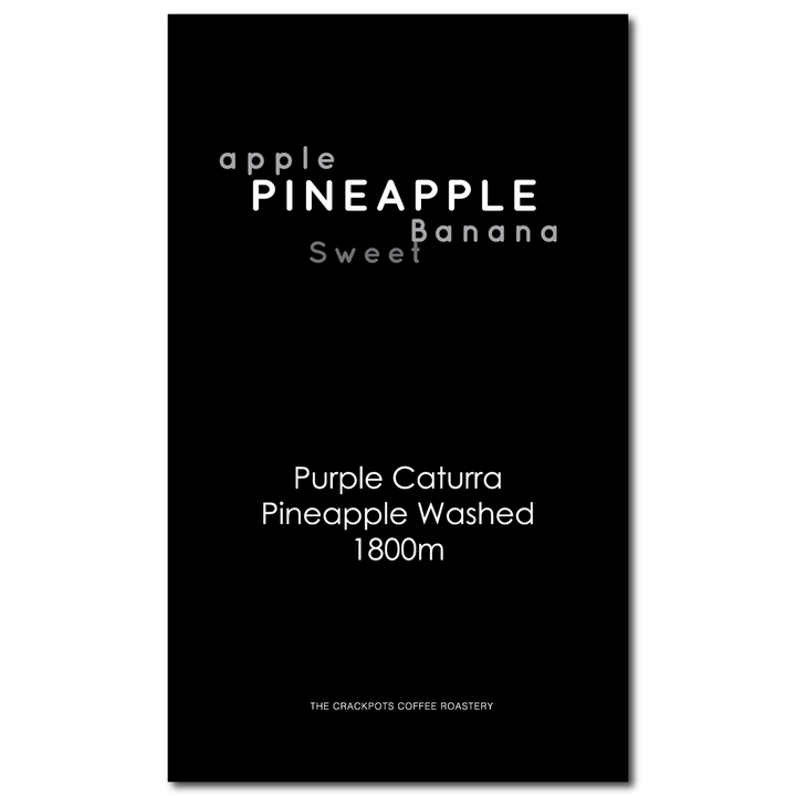 Colombia "Piña Colada" Finca Monteblanco Pineapple Washed