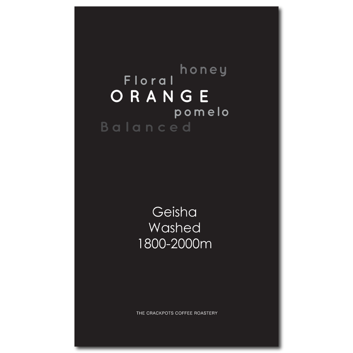 Costa Rica Brunca Rivense Vista El Chirripo Washed Geisha