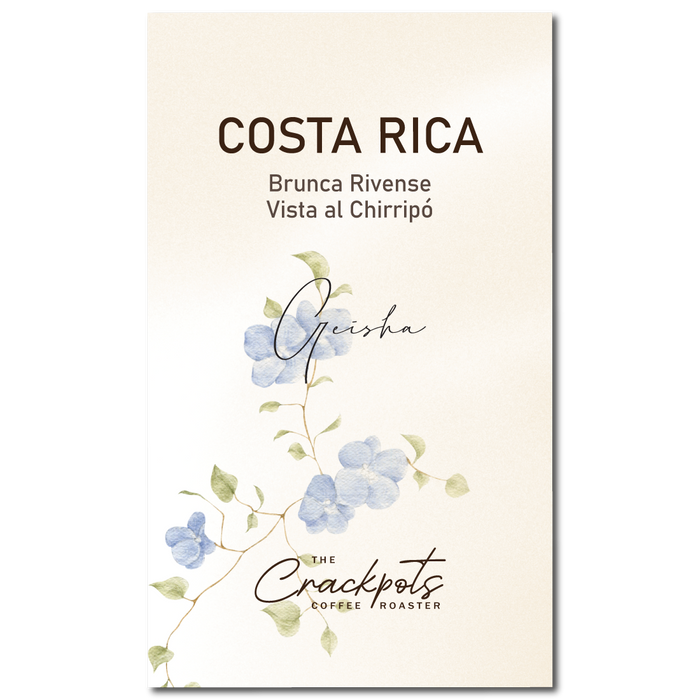 Costa Rica Brunca Rivense Vista El Chirripo Washed Geisha
