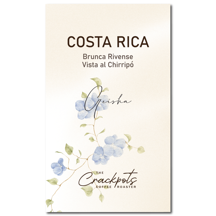 Costa Rica Brunca Rivense Vista El Chirripo Washed Geisha