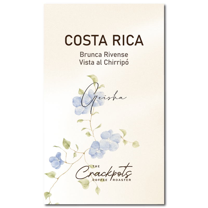Costa Rica Brunca Rivense Vista El Chirripo Washed Geisha
