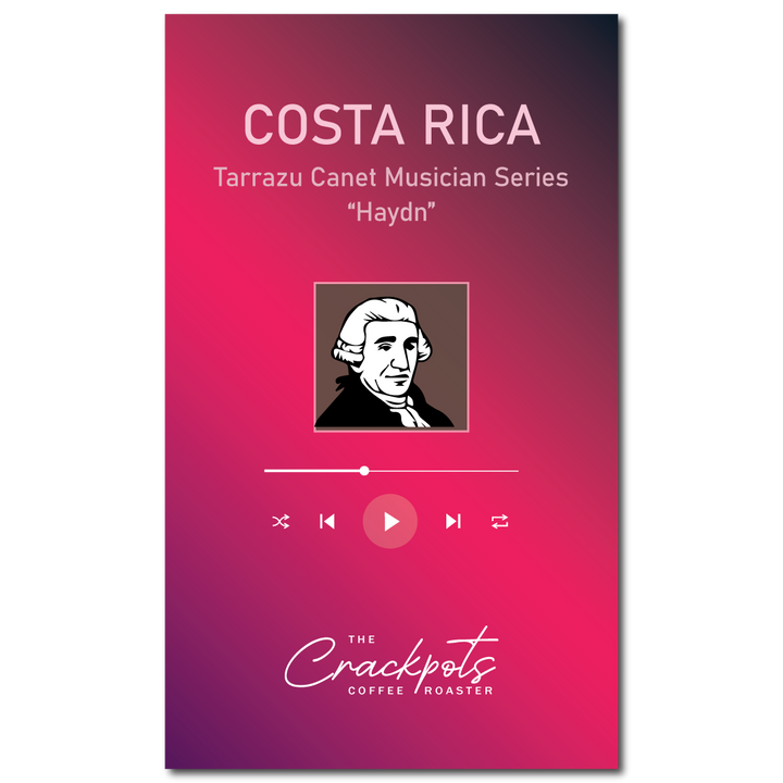 Costa Rica Canet Musician Series "Haydn" Raisin Honey