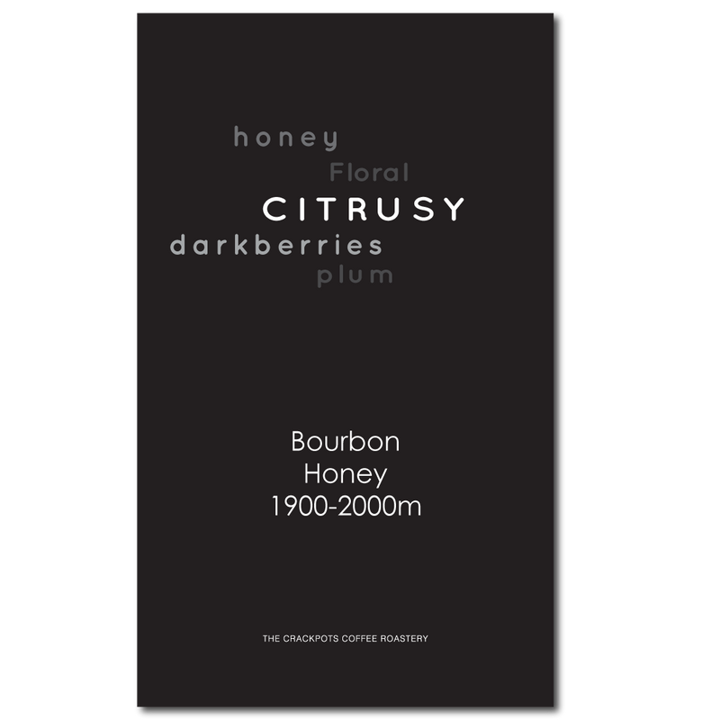Costa Rica San Isidro Labrador Honey Bourbon