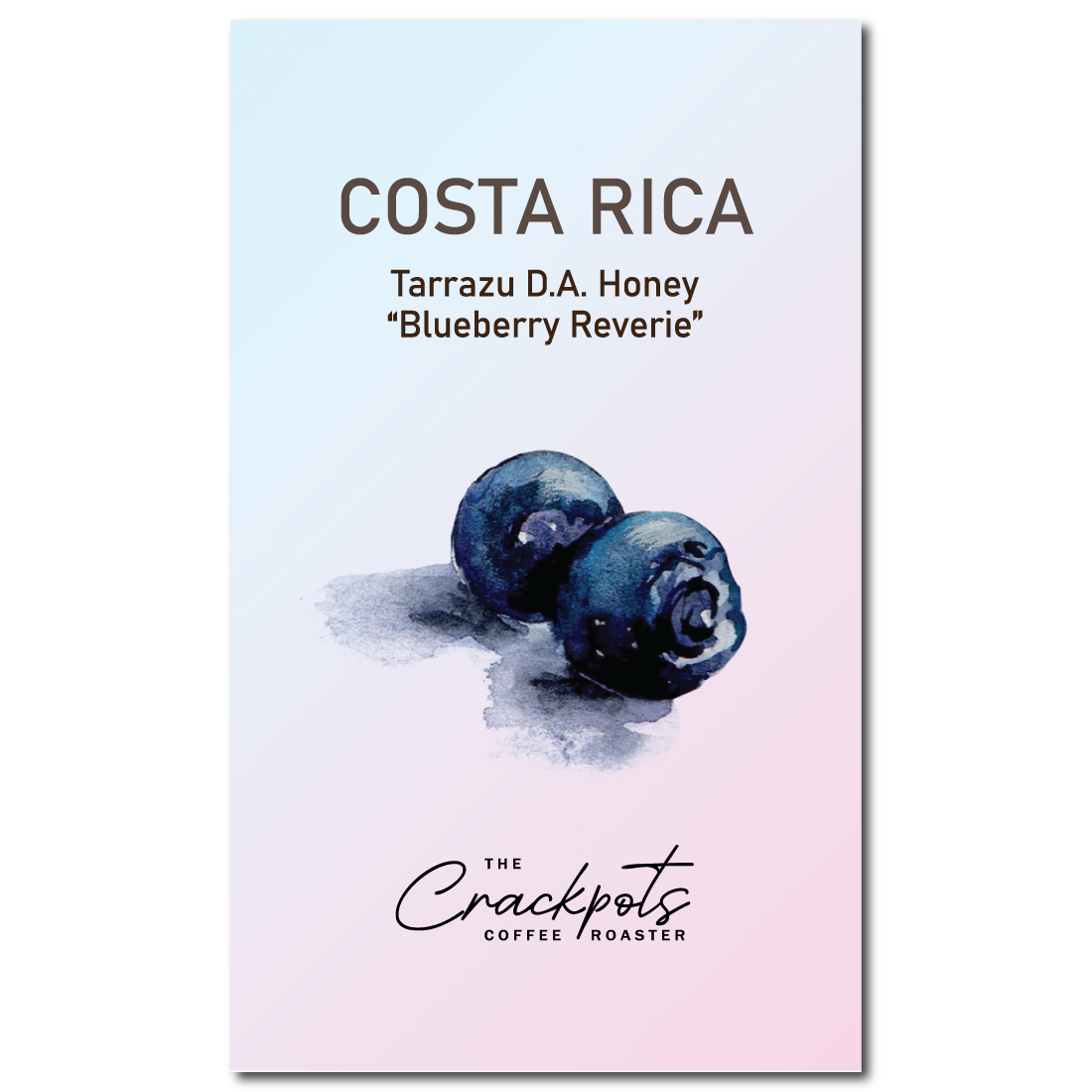 The Crackpots Coffee Roaster Costa Rica Tarrazu D.A. Honey "Blueberry Reverie" – specialty coffee beans Malaysia