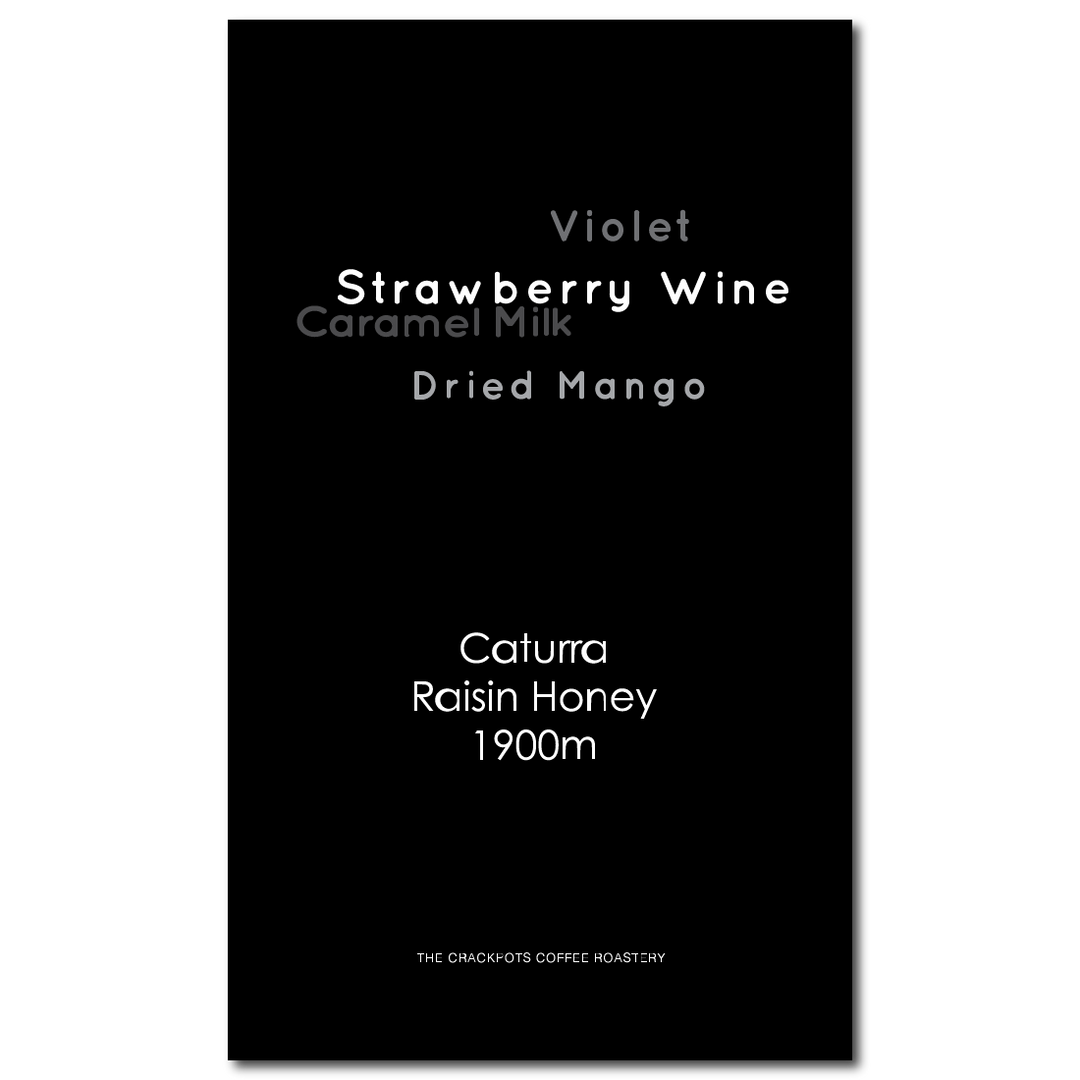 Costa Rica Tarrazu Canet Musician Series "Mozart"